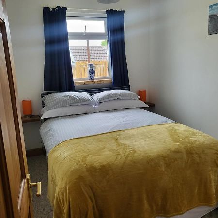 A Great Place For You And Your Dog To Stay Falmouth Zewnętrze zdjęcie