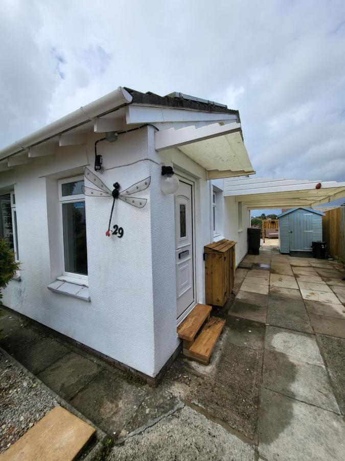 A Great Place For You And Your Dog To Stay Falmouth Zewnętrze zdjęcie