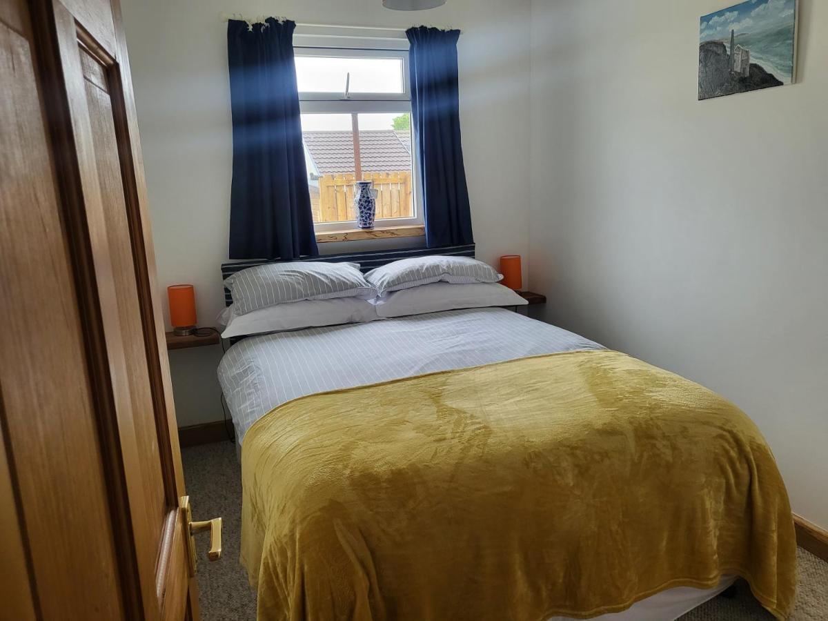 A Great Place For You And Your Dog To Stay Falmouth Zewnętrze zdjęcie